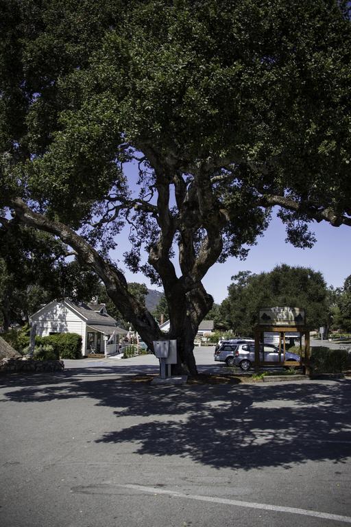The Blue Sky Lodge Carmel Valley Exterior foto