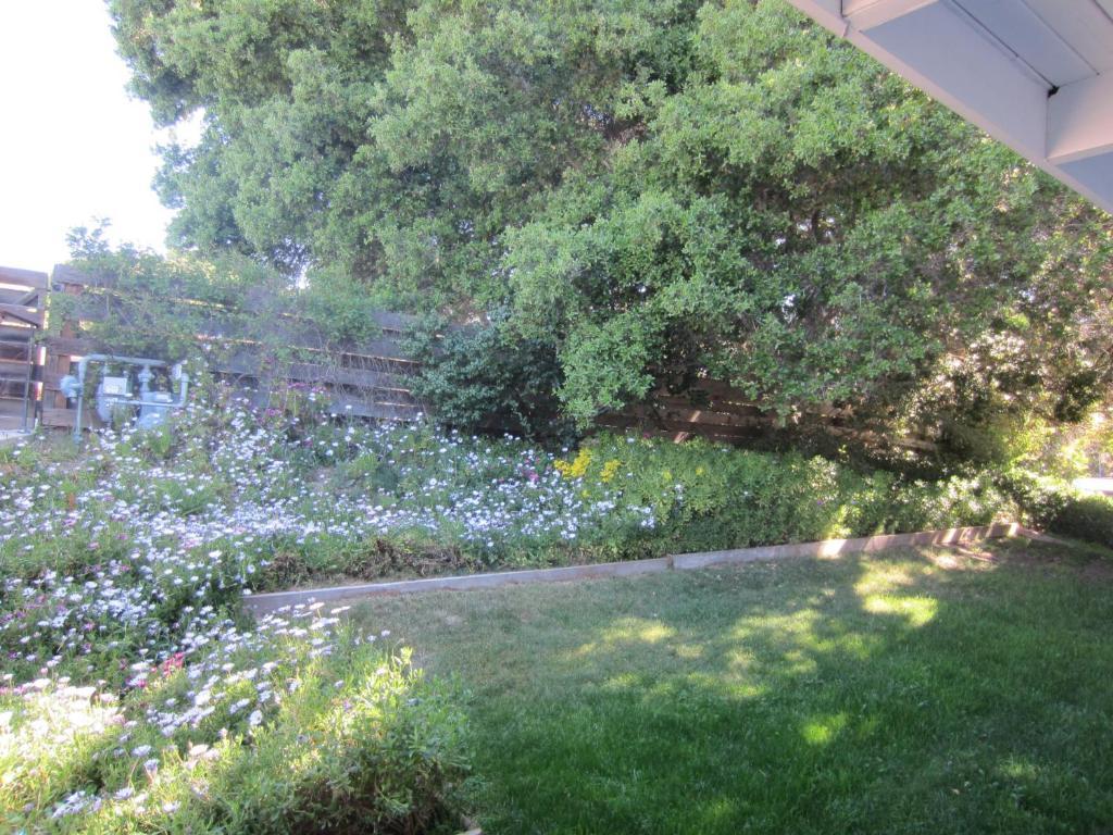 The Blue Sky Lodge Carmel Valley Exterior foto
