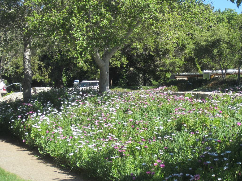 The Blue Sky Lodge Carmel Valley Exterior foto